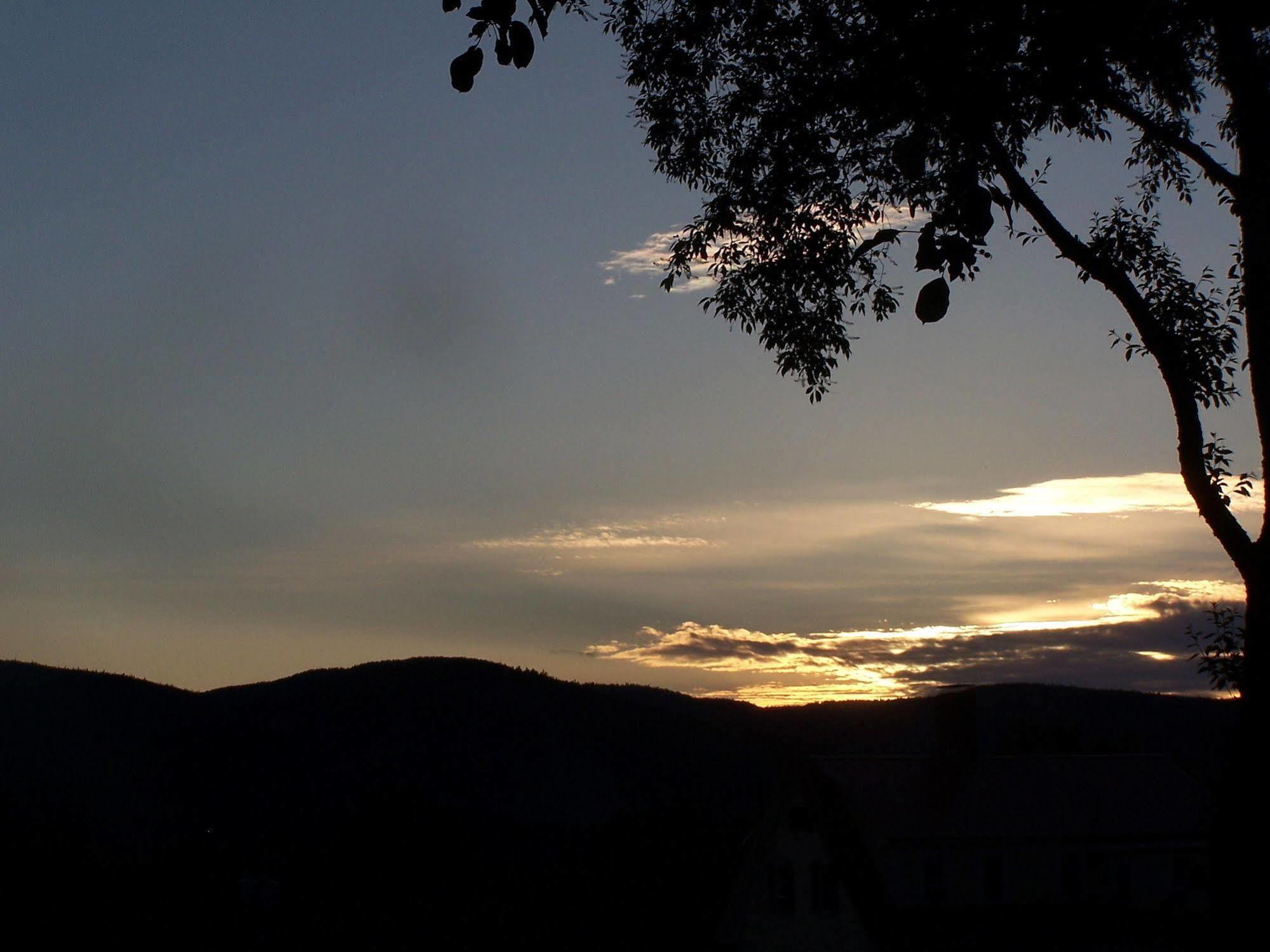Red Elephant Inn Bed And Breakfast North Conway Esterno foto