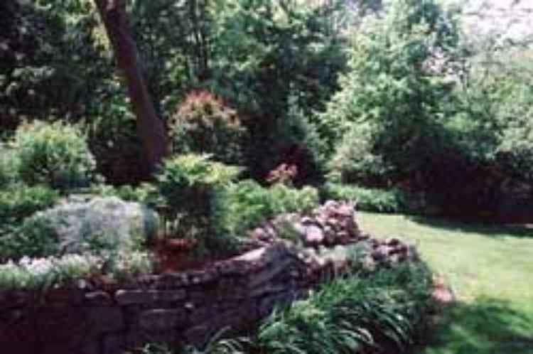 Red Elephant Inn Bed And Breakfast North Conway Esterno foto